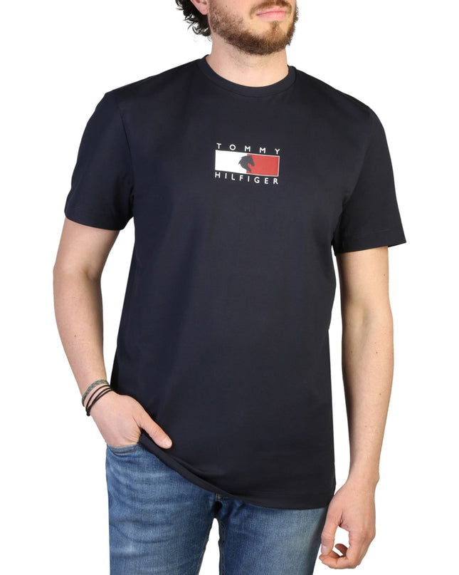 Tommy Hilfiger T-shirts