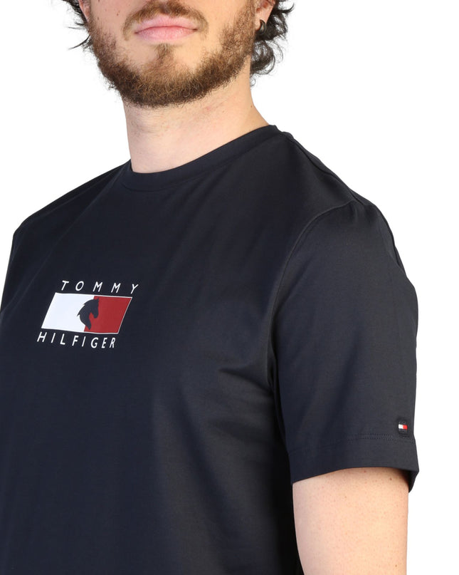 Tommy Hilfiger T-shirts